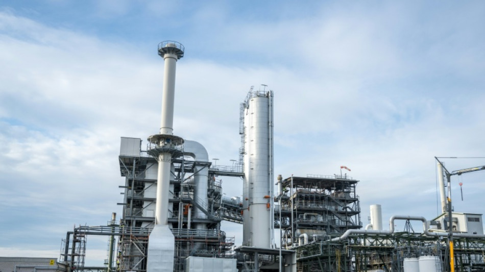 Germany unveils rescue plan for struggling chemical sector