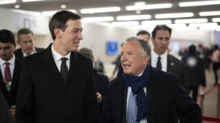Tass, 'Witkoff e Kushner a Mosca e poi Kiev domani e domenica'