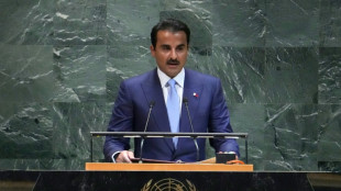 Catar diz na ONU que continuará esforços para conseguir trégua em Gaza