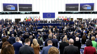 El Parlamento Europeo aprobó arancel a la importación de fertilizantes rusos