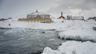 Media, Trump punta a occuparsi della Groenlandia entro due mesi