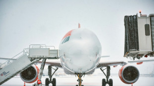 Europe faces transport chaos as deadly cold snap persists