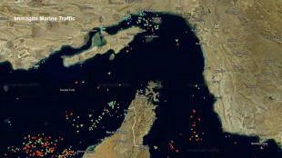Usa, sei navi mercantili fermate dal blocco di Hormuz