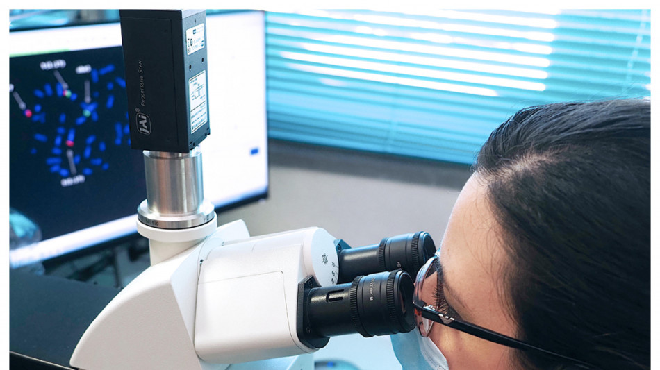 Trovata la chiave della memoria a lungo termine della pelle