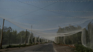 Qual a importância do 'cinturão fortificado' do Donbass?