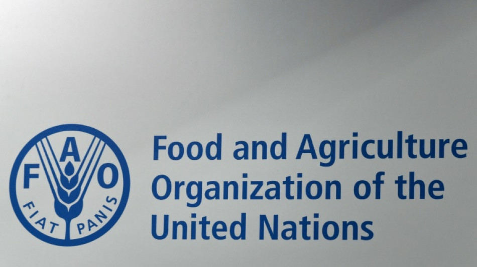 En 2024, les prix alimentaires mondiaux ont baissé de 2% selon la FAO