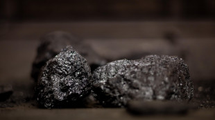 Sima, da carbone rischi sanitari, ambientali ed economici per la collettivit&agrave;