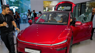 Skeptische K&auml;ufer: Tesla verbucht 2025 erstmals Umsatzr&uuml;ckgang