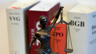 Zehneinhalb Jahre Haft nach t&ouml;dlichem Streit in Frankfurt am Main
