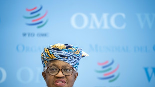 Welthandelsorganisation: Krieg in Nahost belastet Handelsstr&ouml;me massiv