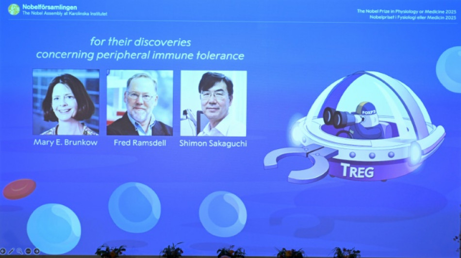 Medicine Nobel to trio who identified immune system's 'security guards'