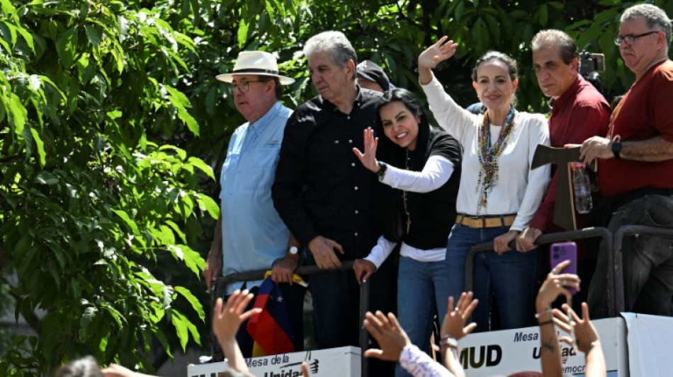 'A transi&ccedil;&atilde;o n&atilde;o come&ccedil;ou', diz opositora venezuelana ao sair da clandestinidade