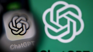 Will OpenAI be the next tech giant or next Netscape?