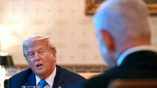 Trump holds fresh talks with Netanyahu to end Gaza 'tragedy'