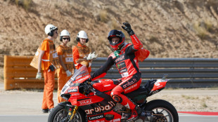 MotoGP: a Bulega la Ducati di Marquez in Portogallo e a Valencia