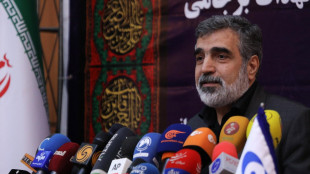 Iran, 'danni a industria nucleare ma sviluppo proseguirà'