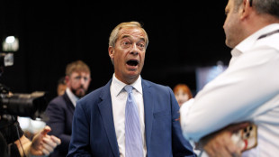 Bufera nel partito di Farage, 'i due funzionari coinvolti negli illeciti si dimettono'