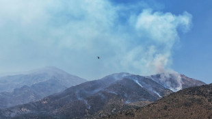 Chile decreta estado de cat&aacute;strofe por inc&ecirc;ndios no sul do pa&iacute;s