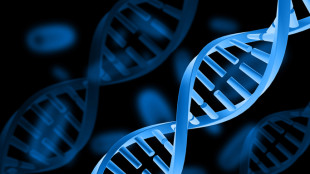 Da pressione a colesterolo alto, tracciata la mappa del Dna legato a malattie comuni