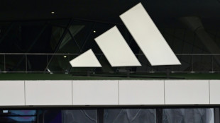 Wegen Sportschuhen aus Schweinsleder: Türkei verhängt Geldstrafe gegen Adidas