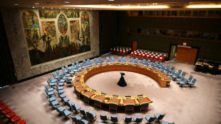 El Consejo de Seguridad de la ONU aprueba una nueva fuerza antipandillas para Haití