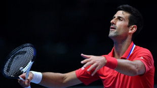 Djokovic regresa a Australia casi un año después de su deportación