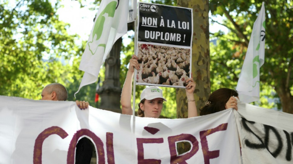 Un alto tribunal de Francia veta la reintroducción de un criticado pesticida