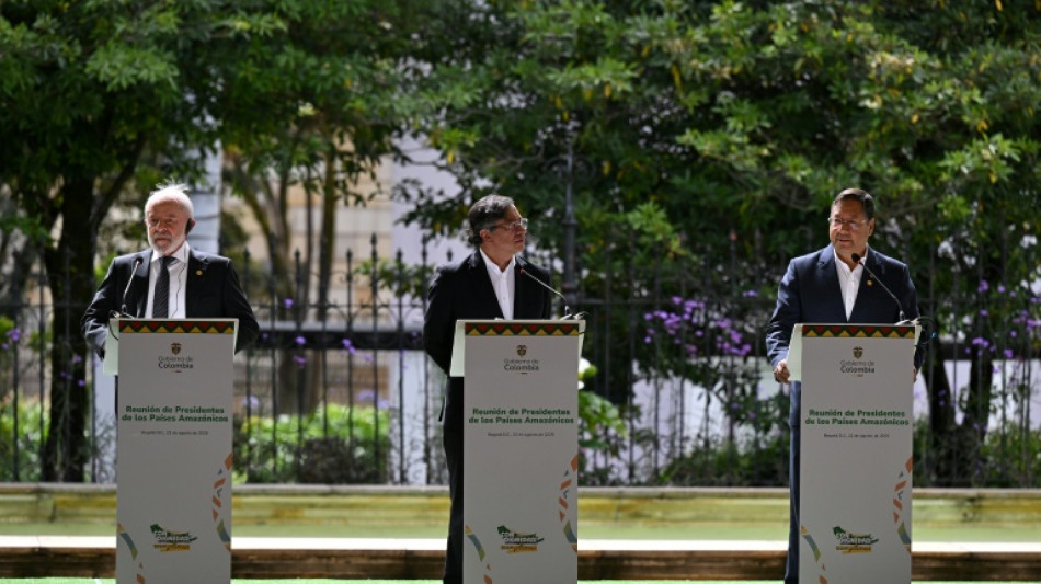 Brasil, Colômbia e Bolívia unem forças pela Amazônia de olho na COP30