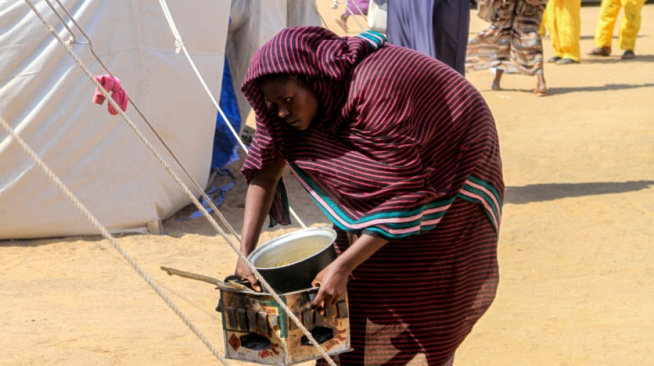 Soudan: plus de 770 km d'exode pour les déplacés d'El-Facher