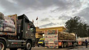 M&aacute;s de cien camiones de ayuda humanitaria cruzan el paso de Rafah hacia Gaza