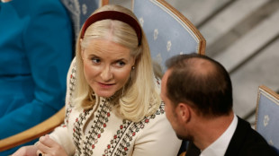 El esc&aacute;ndalo Epstein asesta un golpe a la princesa heredera de Noruega