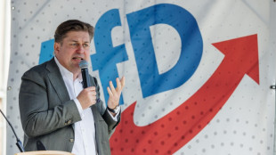 Spionageprozess gegen früheren Mitarbeiter von AfD-Politiker Krah gestartet