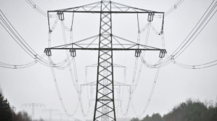 EU-Kommission genehmigt deutschen Industriestrompreis