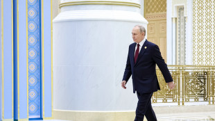 Cremlino, 'Putin vuole un accordo di pace, non tregue temporanee'