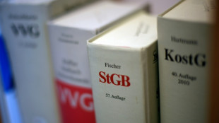 Bew&auml;hrungsstrafen wegen Beleidigung fr&uuml;herer Minister Habeck und Lauterbach