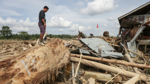 Las inundaciones en Indonesia amenazan unos orangutanes al borde de la extinci&oacute;n