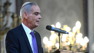 Amb.Israele, 'cortei anti-governo, Gaza non c'entra nulla'