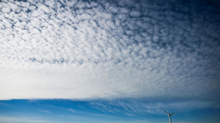 La justicia de EEUU reactiva la energ&iacute;a e&oacute;lica marina pese a la oposici&oacute;n de Trump