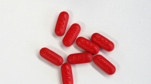 Cientistas defendem uso de paracetamol durante gravidez, apesar de críticas de Trump