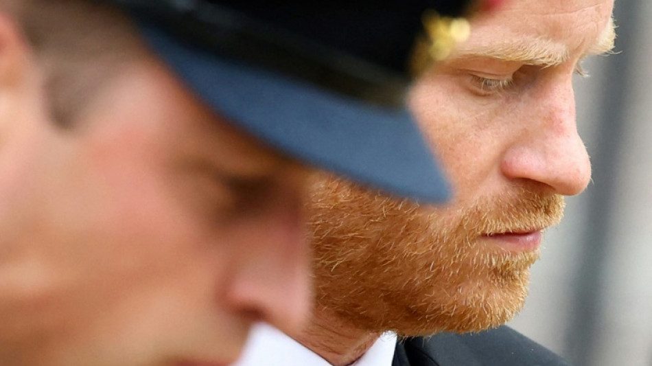 Prince Harry book gets critical mauling in UK