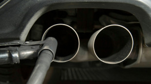 Kein fr&uuml;heres Verbrenner-Aus f&uuml;r BMW und Mercedes: Klimaklagen scheitern am BGH