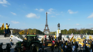 Agricultores protestan en París contra el acuerdo UE-Mercosur