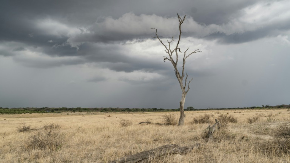 Simbabwe verhängt wegen Dürre nationalen Katastrophenzustand