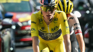 Vollering gewinnt Frauen-Tour - Niedermaier holt Wei&szlig;