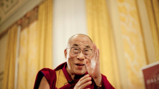 'Simple monk': the Dalai Lama, in his translator's words
