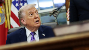 Dem pubblicano nuove foto di Epstein con Trump, Clinton, Bannon e Gates