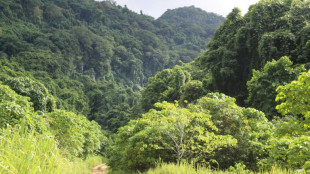 Levantan la alerta de tsunami tras un terremoto de magnitud 6,9 frente a Vanuatu