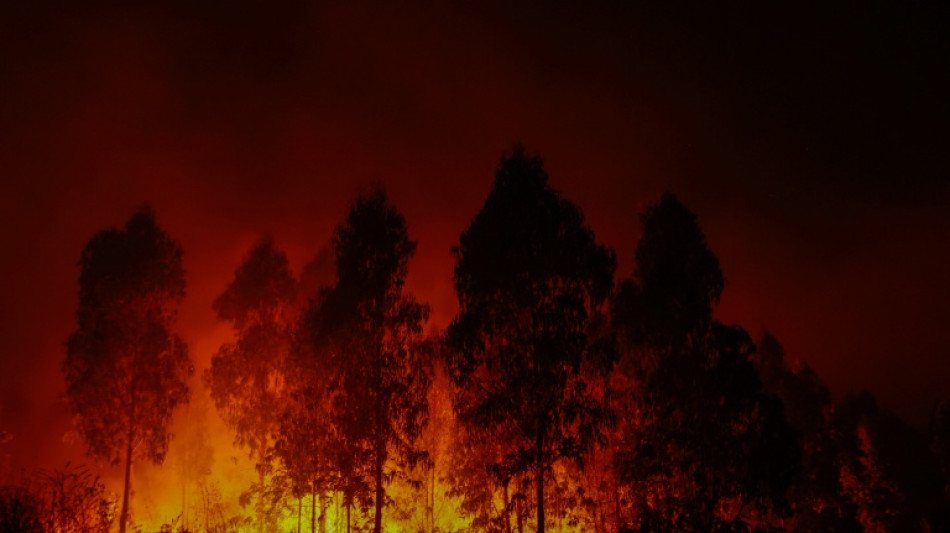 Feux de for&ecirc;t au Chili et en Argentine: le changement climatique accentue les conditions propices, selon une &eacute;tude