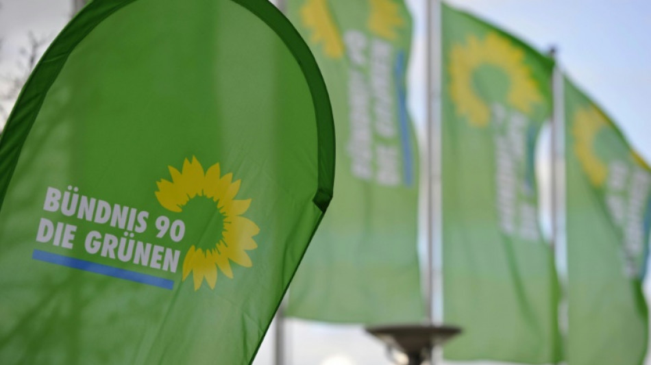 Grüne in Schleswig-Holstein Grüne wählen Doppelspitze aus Rudow und Freitag