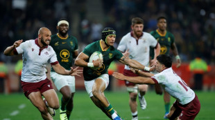Erasmus has mixed views after nine-try Springboks beat Georgia